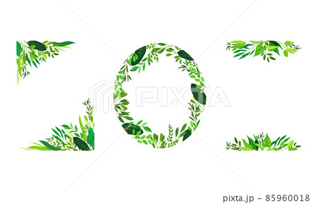 Collection of frames made of leaves. Green elegant natural borders of various shapes with copy space vector illustration 85960018