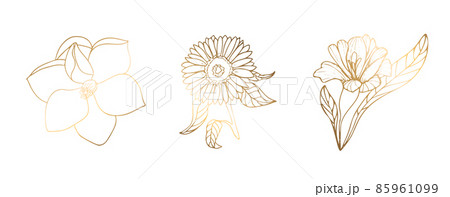Golden rose, sunflower, magnolia isolated on white background. Handmade flower. Vector illustration. For greeting cards and invitations for wedding, birthday, Valentines Day, Mothers Day and others. Golden rose, sunflower, magnolia isolated on white background. Handmade flower. Vector illustration. For greeting cards and invitations for wedding, birthday, Valentines Day, Mothers Day and others. 85961099