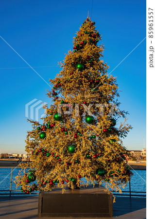 Afternoon view of a christmas tree, building in the Chisholm Creek area Afternoon view of a christmas tree, building in the Chisholm Creek area 85961557