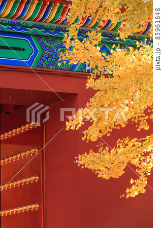 Beijing autumn ditan park view beautiful fall Beijing autumn ditan park view beautiful fall 85961848