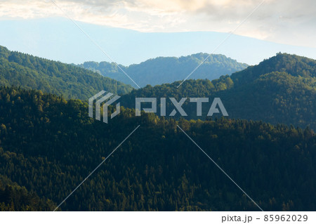 forested mountain ridge. beautiful nature scenery in summer afternoon forested mountain ridge. beautiful nature scenery in summer afternoon 85962029