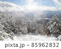 冬の北八ヶ岳の景色　青空に雪の針葉樹林　蓼科山登山道 85962832