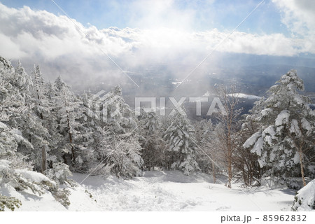 冬の北八ヶ岳の景色　青空に雪の針葉樹林　蓼科山登山道 85962832