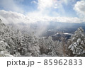 冬の北八ヶ岳の景色　青空に雪の針葉樹林　蓼科山登山道 85962833