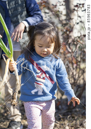 ネギを収穫する幼児 85963783