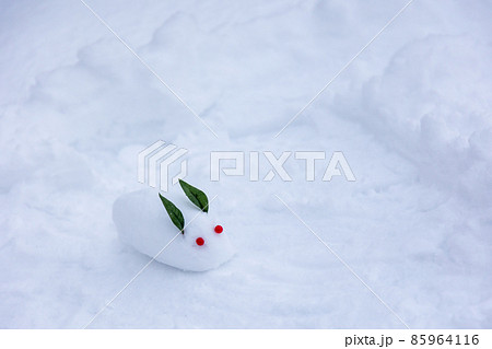 雪の上の雪うさぎ 雪の上の雪うさぎ 85964116