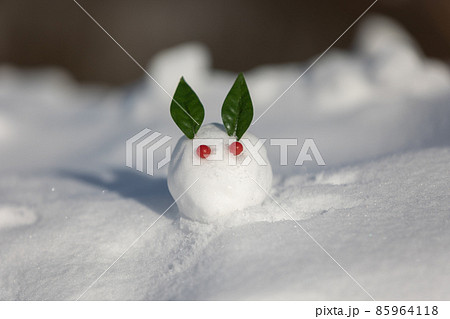 雪の上の雪うさぎ 85964118