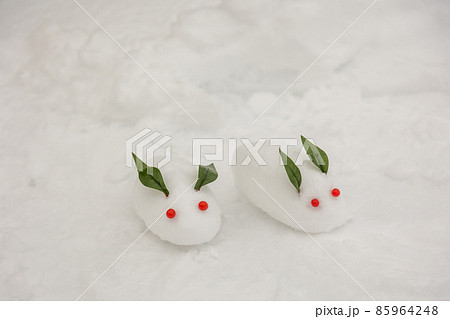 雪の上の雪うさぎ 85964248
