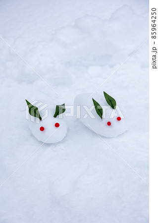 雪の上の雪うさぎ 雪の上の雪うさぎ 85964250
