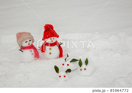 雪うさぎを見つけたペアの雪だるま 85964772