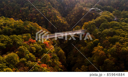 《宮城県》紅葉の鳴子峡 85964884