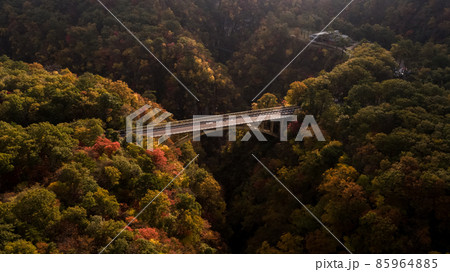 《宮城県》紅葉の鳴子峡 《宮城県》紅葉の鳴子峡 85964885