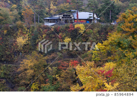 《宮城県》紅葉の鳴子峡 85964894