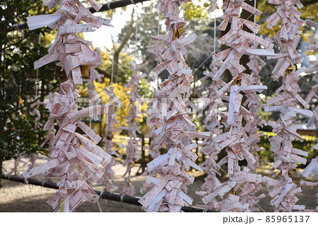 神社のおみくじ結び 神社のおみくじ結び 85965137
