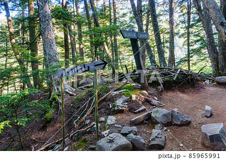 瑞牆山登山:小川山分岐 瑞牆山登山:小川山分岐 85965991