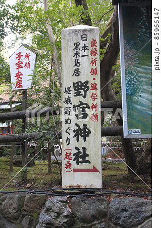 源氏物語の野宮神社 源氏物語の野宮神社 85966147
