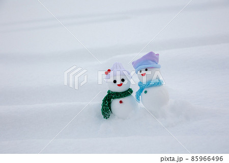 雪原とペアの雪だるま 雪原とペアの雪だるま 85966496