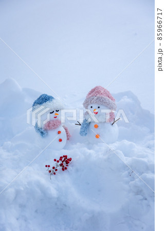 南天の実とペアの雪だるま 85966717