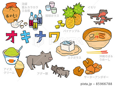 手描きの沖縄イラストセット　イラスト素材 85966788