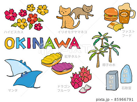 手描きの沖縄イラストセット　イラスト素材 85966791