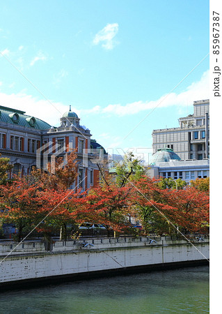 大阪中之島　青空と紅葉風景 85967387