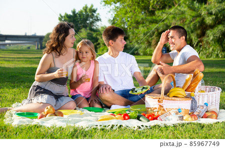 Parents with two teenagers enjoying delicious meal on the picnic 85967749