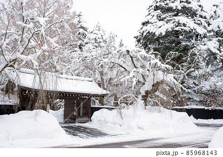 冬の武家屋敷 角館 冬の武家屋敷 角館 85968143
