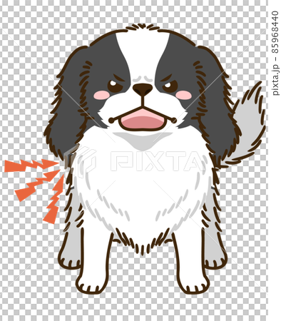 Menacing Japanese Chin 85968440