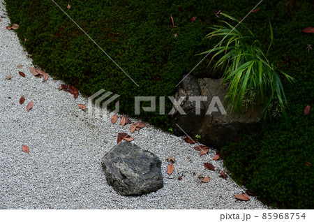 永観堂の日本庭園 85968754