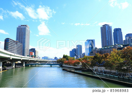 大阪中之島 青空と紅葉風景 大阪中之島 青空と紅葉風景 85968983