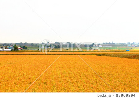 北海道紀行　　旭川の近郊 85969894