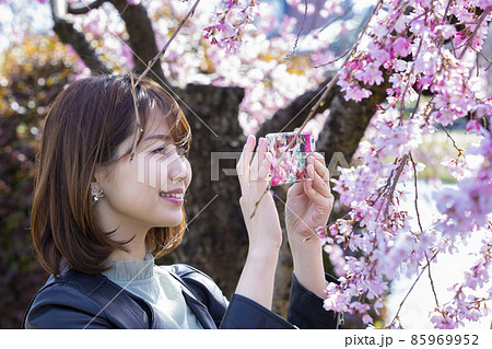 京都府京都市の鴨川沿いの枝垂れ桜をスマホで撮っている笑顔の若い女性 京都府京都市の鴨川沿いの枝垂れ桜をスマホで撮っている笑顔の若い女性 85969952