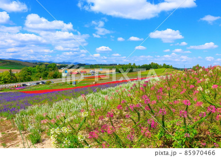 北海道紀行 かんのファーム 北海道紀行 かんのファーム 85970466