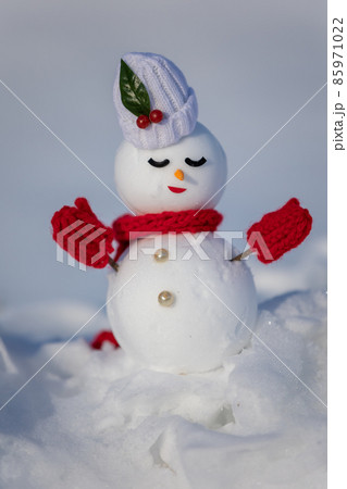 穏やかな表情の雪だるま 穏やかな表情の雪だるま 85971022