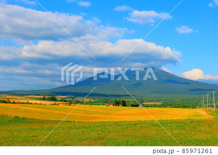 北海道紀行 富良野の牧場 北海道紀行 富良野の牧場 85971261