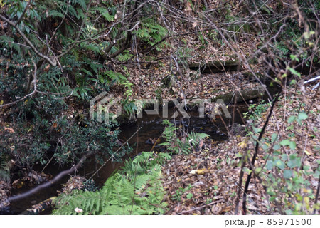 山の小川 85971500