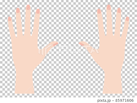 女性の両手の甲 85971606