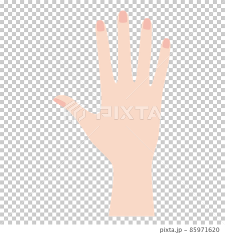 女性の右の手の甲 85971620