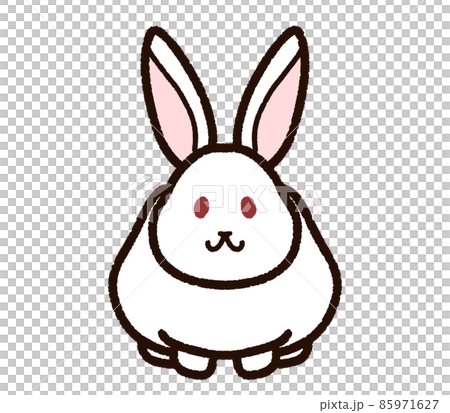 かわいいウサギ アルビノのイラスト素材