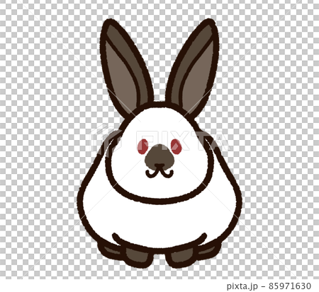 可愛的兔子喜馬拉雅 可愛的兔子喜馬拉雅 85971630