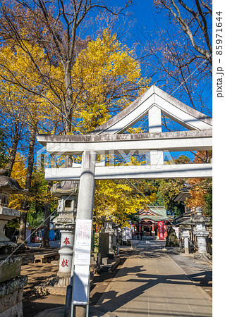 日枝神社　清瀬市　鳥居　紅葉 85971644