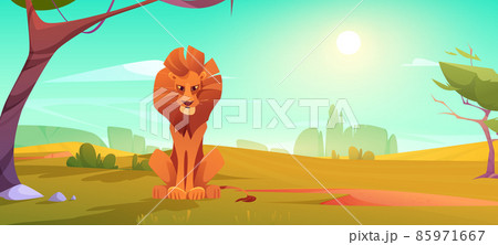 Lion in savanna, african animal in nature wild cat Lion in savanna, african animal in nature wild cat 85971667