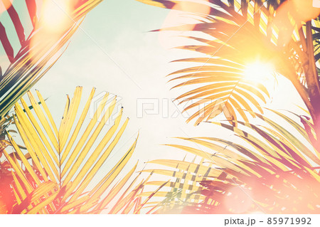 Tropical palm tree with colorful bokeh sun light on sunset sky cloud abstract background. Tropical palm tree with colorful bokeh sun light on sunset sky cloud abstract background. 85971992