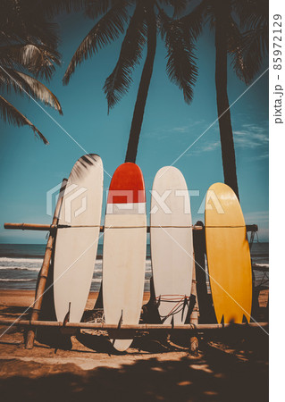 Surfboard and palm tree on beach background. Travel adventure sport and summer vacation concept.  Surfboard and palm tree on beach background. Travel adventure sport and summer vacation concept.  85972129