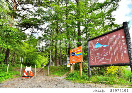 小浅間山/峰の茶屋登山口(長野県軽井沢町)【2020.6】 小浅間山/峰の茶屋登山口(長野県軽井沢町)【2020.6】 85972191