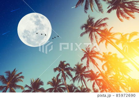 Tropical night. Full moon and palm leaf birds fly abstract background. Tropical night. Full moon and palm leaf birds fly abstract background. 85972690