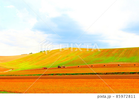 北海道紀行　　美瑛の農場 85972811