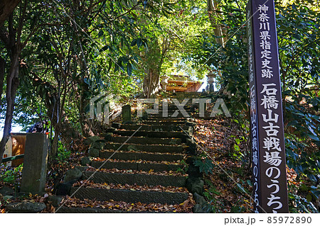 石橋山古戦場　文三堂 85972890