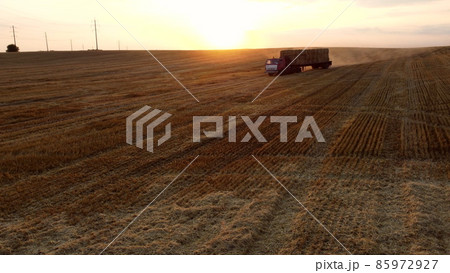 Truck loaded with haystacks drives through wheat field after harvest at sunset Truck loaded with haystacks drives through wheat field after harvest at sunset 85972927