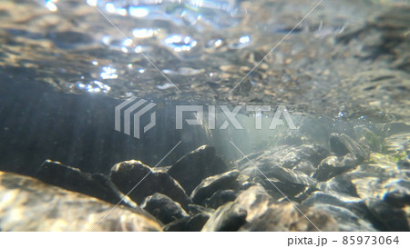 Flowing water, skylight of sun through water, stones lying at bottom Flowing water, skylight of sun through water, stones lying at bottom 85973064